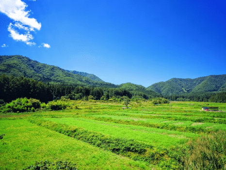 ＜夕食のみプラン／朝食なし＞混雑ゼロ、人が少ない静かな温泉地を巡る旅／温泉は100％源泉かけ流し温泉