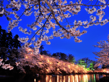 2026年3月～＜基本プラン／1泊2食＞大自然が目の前！日常を忘れてゆったりと過ごせる田舎の“おこもり宿”へ