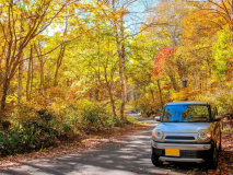 11/1～11/2＜1泊2食付き＞日常を忘れてゆったりと過ごせる田舎のおこもり宿へ／要事前カード決済