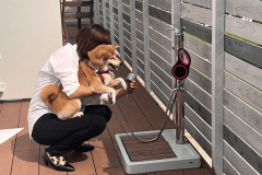 【わんちゃんと泊まれる太陽の棟】わんちゃん足洗い場