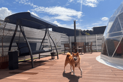 【わんちゃんと泊まれる太陽の棟】デッキ