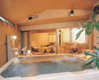 ■白雲の館　庭園温泉露天風呂付客室（洗い場あり）、内風呂無し・トイレ付　※3階で眺望はございません。