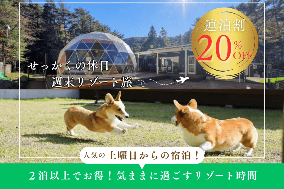 【連泊割20％OFF】土曜から過ごすラグジュアリーな週末リゾート🐾愛犬が一番リラックスできる「別荘スタイル」の休日＜清掃なし／食事選択自由＞