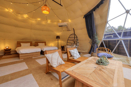 【プライベートドッグランドーム】ドッグラン80㎡・2ベッド・定員4名