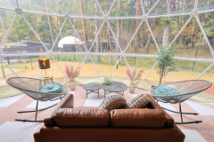 【スイートドッグランドーム】ドッグラン120㎡・4ベッド・定員5名《ドッグランが一番広いお部屋》