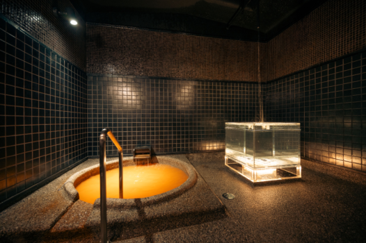 Standard Stay Package with Dinner and Breakfast Included