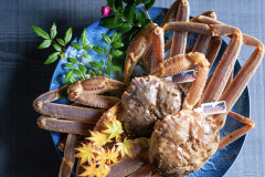 【冬限定】浜坂漁港直送 活松葉蟹と但馬玄を味わう特別会席プラン 【冬限定】浜坂漁港直送 活松葉蟹と但馬玄を味わう特別会席プラン