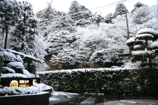 【年末年始限定プラン】有馬最古の湯宿「陶泉　御所坊」へ。