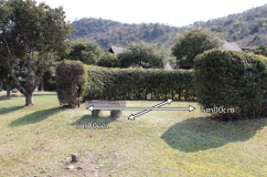 さつき１０寸法