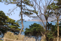 つばき１２景観