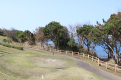 さつき１０景観