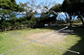 つばき13寸法