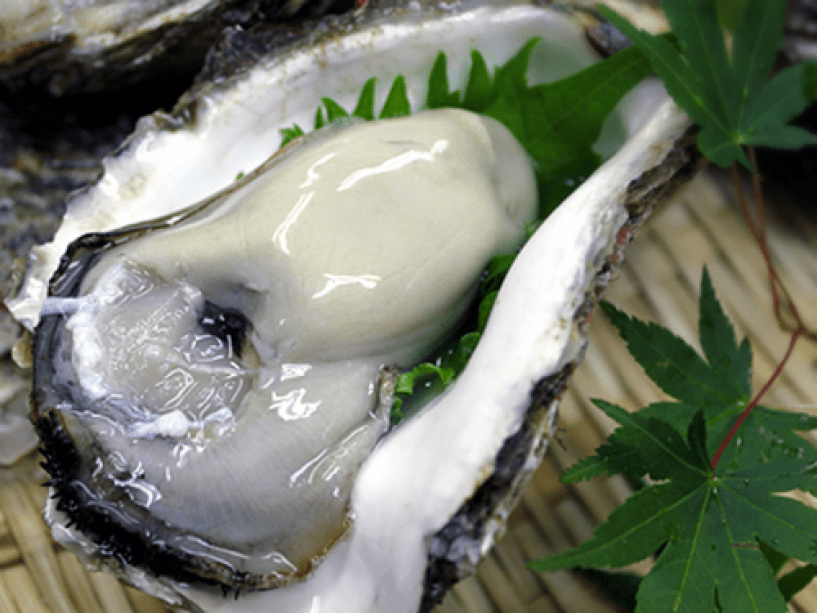 岩牡蠣のしゃぶしゃぶ