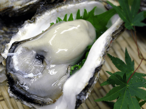 岩牡蠣のしゃぶしゃぶ