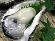 岩牡蠣のしゃぶしゃぶ