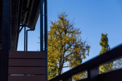 セミダブルベッドツイン／バルコニー付