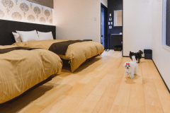 コテージ（ペット同伴可能）