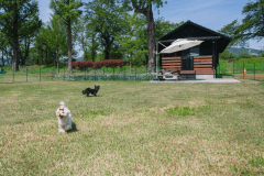 コテージ（ペット同伴可能）