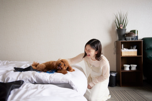 【誕生】～WANの音～わんちゃんが主役★オーシャンビューROOM