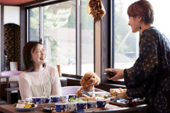 【WANの音】わんちゃんと一緒日帰り昼食