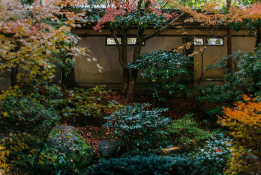 Japanese Style Deluxe UKIFUNE(1F) 54.72㎡ / 589ft²