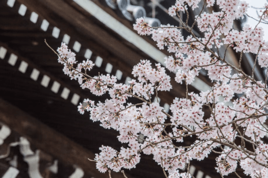 Nanzen-ji Temple is a 3-minute walk away.