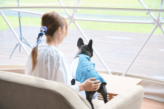 【ペット可】7mドームテントB【シングルベッド4台】