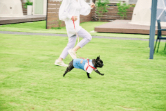 【ペット可】7mドームテントB【シングルベッド4台】