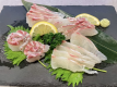 地上大型釣堀日帰り【海水魚】