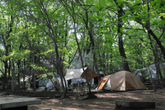 オートサイト(電源付き）[５サイト]