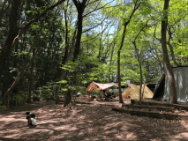 オートサイト [１６サイト]