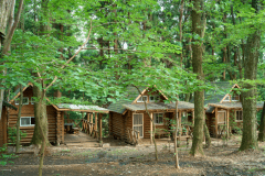 ログハウス３棟