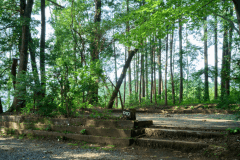 グループオートサイト [３サイト]