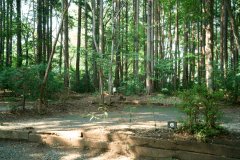 オートサイト(電源付き）[５サイト]