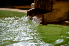 【素泊まり】◆伊根温泉でゆったりと過ごし素泊まりシンプルプラン◆