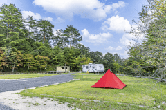 芝生サイト【約65㎡】