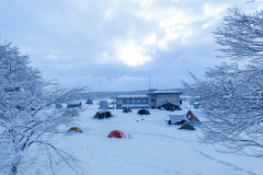 校庭のサクラの木に雪の花が咲きます