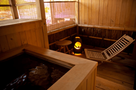 – 華ツイン – HANA TWIN