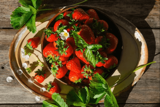 ３種のいちごを食べ比べ！