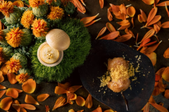 【イタリアンコース】記念日利用でおすすめ！西伊豆の自然味わう絶品ディナーを離れの古民家レストランで