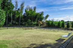 【ブラウン】2ベッド・定員3名・ドッグラン320㎡