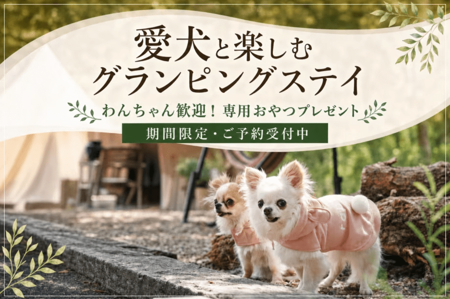 愛犬と泊まれるドームOPEN記念！今ならもれなく「ワンちゃんウェルカム特典」として、専用のおやつをプレゼント！
