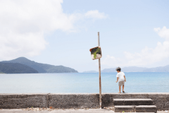 ゆったりとした時間が流れます