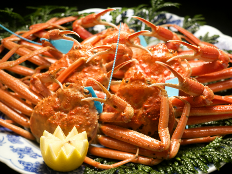 カニで失敗したくない人必見♪厳選！加能ガニ堪能プラン゛加能蟹ここに極まる”