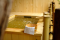 Guest Room with Open Air Bath