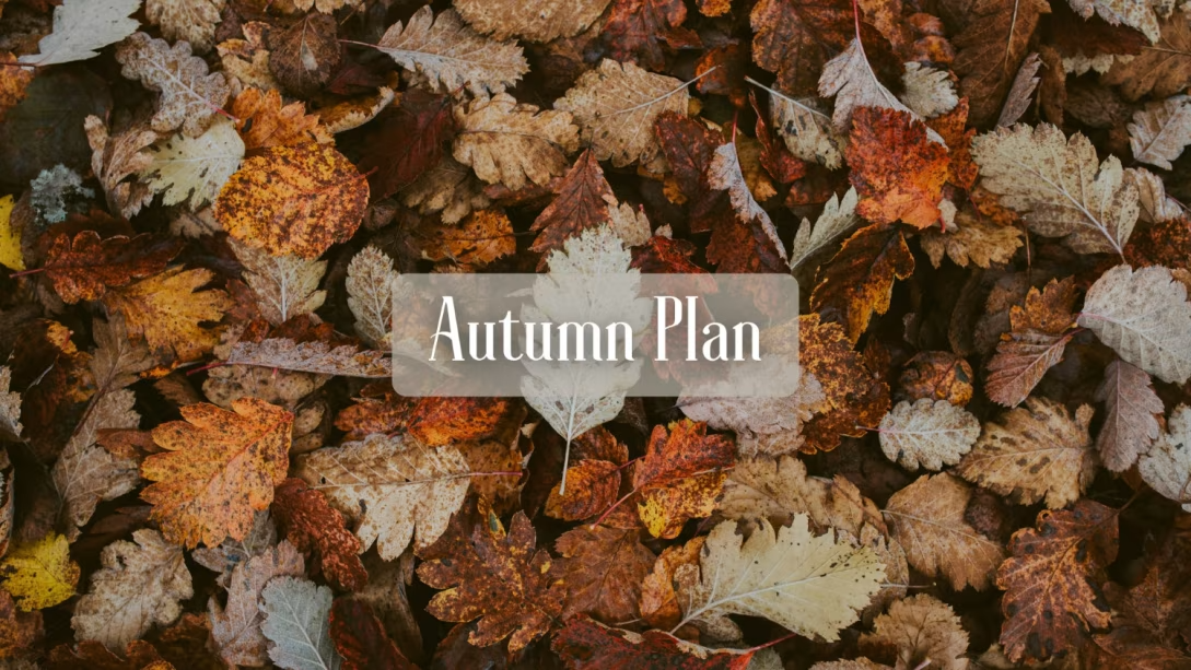 【Autumn Plan】～ライトコースディナー＆朝食～【秋の味覚のライトプラン】