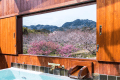 【Sakura Plan】～春のライトディナー＆朝食～【陽春を感じる桜尽くしライトプラン】