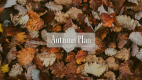 【Autumn Plan】～ライトコースディナー＆朝食～【秋の味覚のライトプラン】