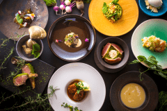 【1日1組限定の地産食材を活かしたのコース料理】～選り抜き素材で作り上げた、極上の味わい～Grande Private Dog Resort Hitachi