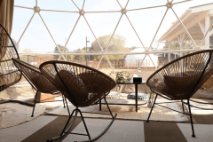 ドッグランドーム